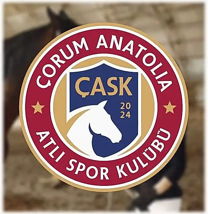 İSMAİL D.